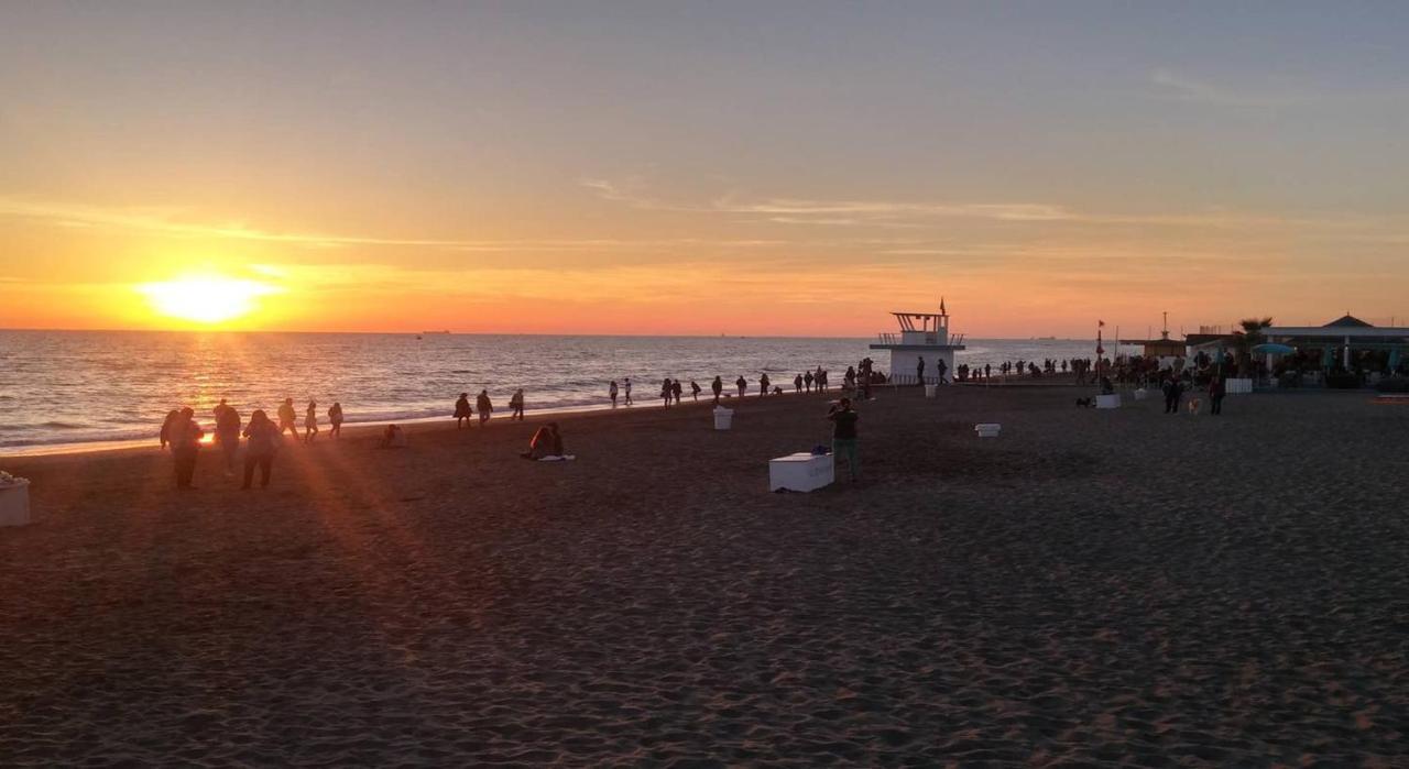 From Ostia Beach To Rome & Airport In A Heartbeat! 外观 照片